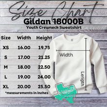 Load image into Gallery viewer, &#39;Chaps Diagonal&#39;  Crewneck Sweatshirt-White
